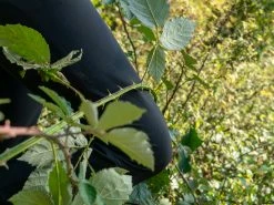 GEONAUTE PROTECTIVE AND RESISTANT 900 LONG RUNNING TIGHTS FOR ORIENTEERING BLACK 24 GEONAUTE PROTECTIVE AND RESISTANT 900 LONG RUNNING TIGHTS FOR ORIENTEERING BLACK -Women Sports Elegant Store kdcbee49e2a3a187a65fec1b762492eb3