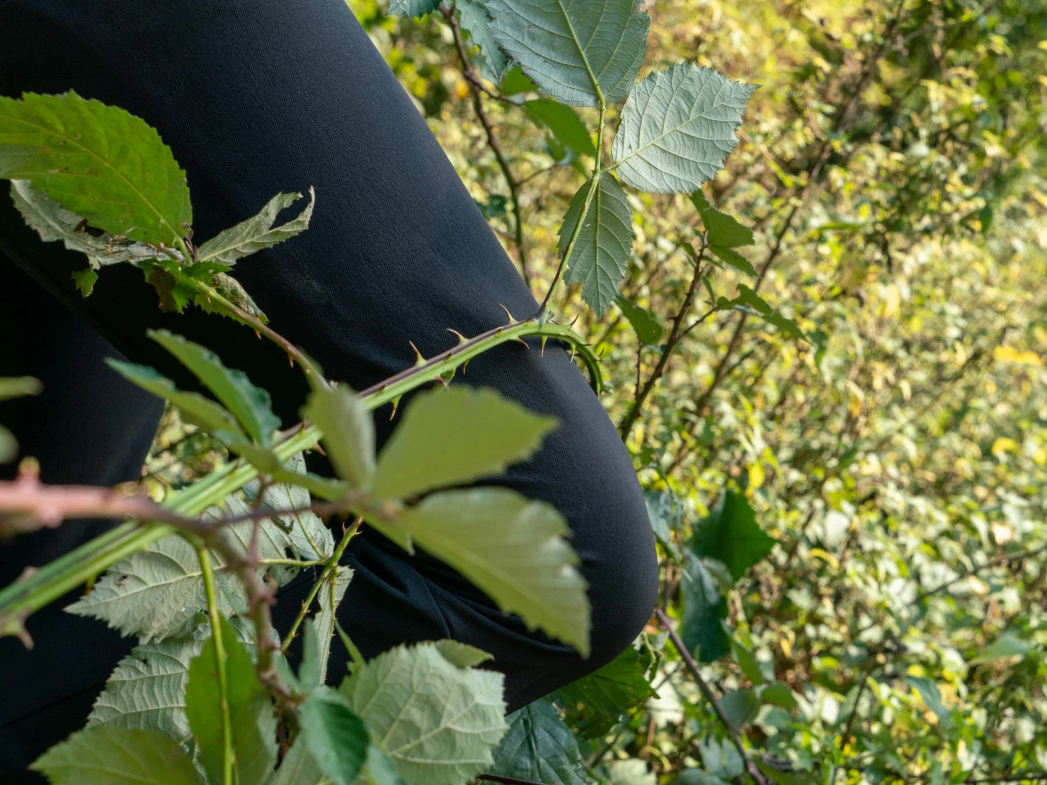 GEONAUTE PROTECTIVE AND RESISTANT 900 LONG RUNNING TIGHTS FOR ORIENTEERING BLACK 12 GEONAUTE PROTECTIVE AND RESISTANT 900 LONG RUNNING TIGHTS FOR ORIENTEERING BLACK - Image 12